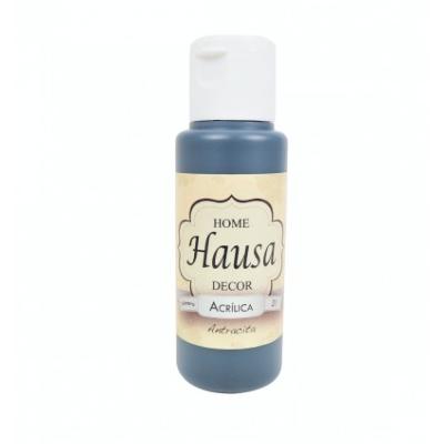 HAUSA ACRÍLICA 31 ANTRACITA - 60 ML