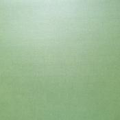 cartulina Perlada Celadon Scrapberrys 30X30  216 gr